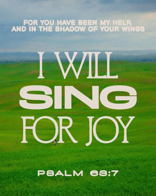 For you have been my help, and in the shadow of your wings I will sing for joy. - Psalm 63:7
