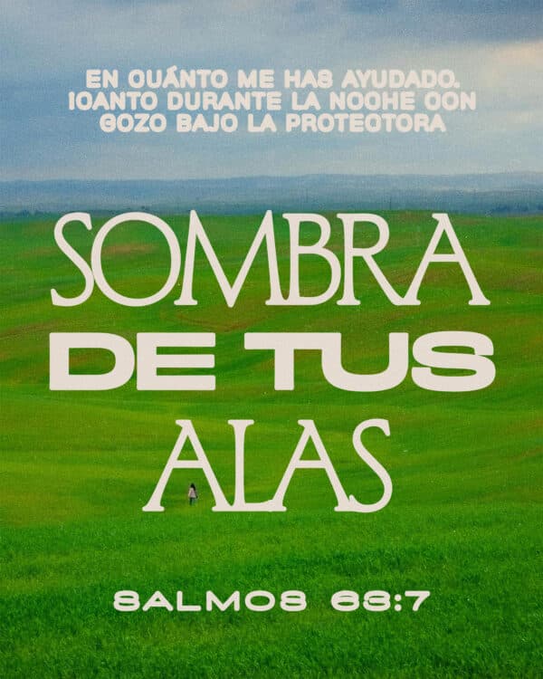 En cuánto me has ayudado. ¡Canto durante la noche con gozo bajo la protectora sombra de tus alas! - Salmos 63:7