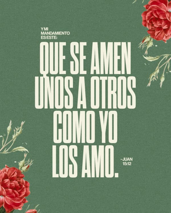 Y mi mandamiento es este: que se amen unos a otros como yo los amo. - Juan 15:12
