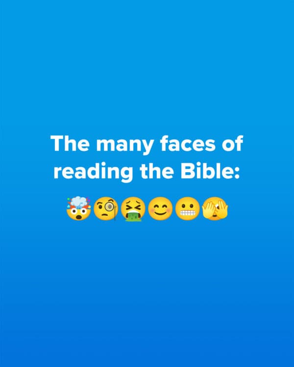 The many faces of reading the Bible: