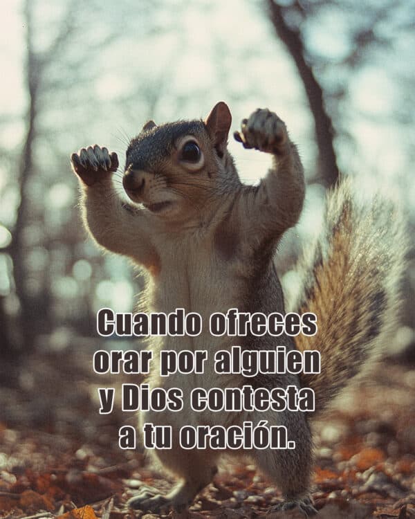 Cuando ofreces orar por alguien y Dios contesta tu oracíon.