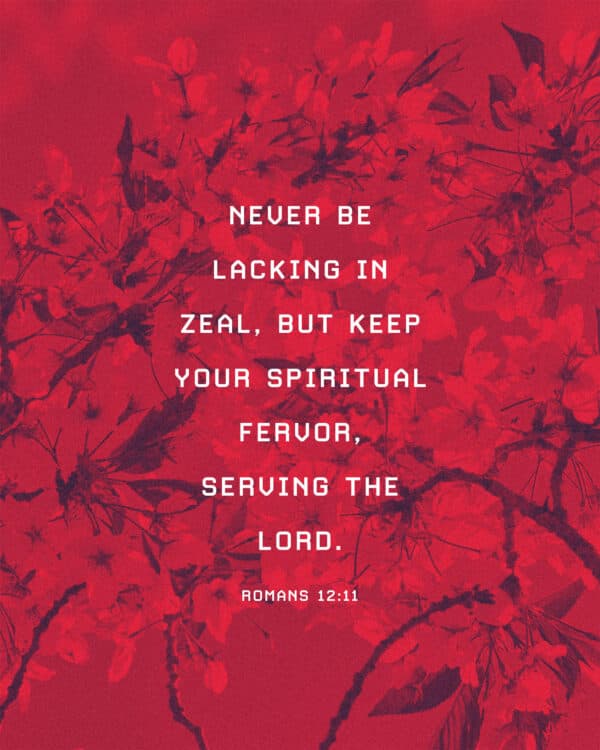 Never be lacking in zeal, but keep your spiritual fervor, serving the Lord. - Romans 12:11