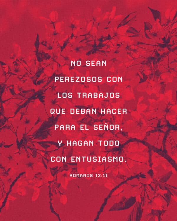 No sean perezosos con los trabajos que deban hacer para el Señor, y hagan todo con entusiasmo. - Romanos 12:11
