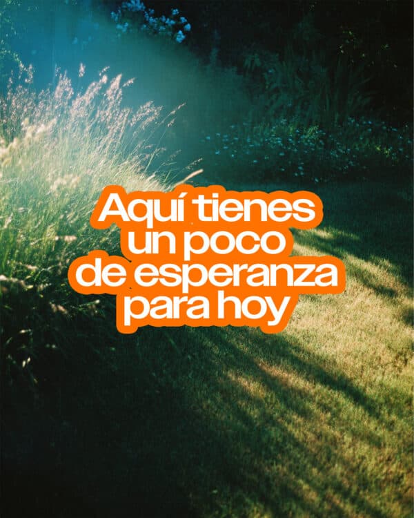 Aquí tienes un poco de esperanza para hoy: