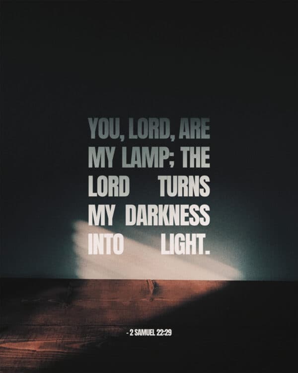 You, LORD, are my lamp; the LORD turns my darkness into light. - 2 Samuel 22:29