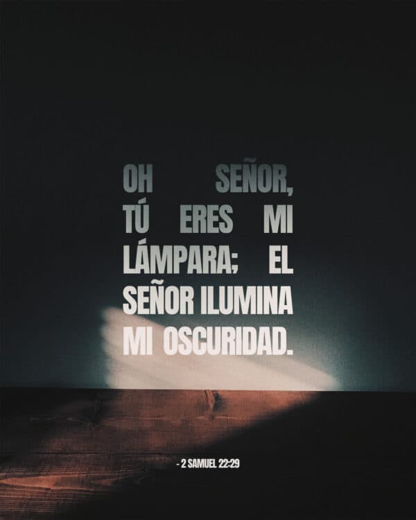 Oh Señor, tú eres mi lámpara; el Señor ilumina mi oscuridad. - 2 Samuel 22:29
