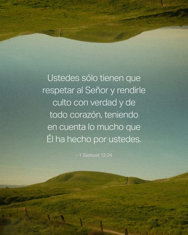 Ustedes sólo tienen que respetar al Señor y rendirle culto con verdad y de todo corazón, teniendo en cuenta lo mucho que Él ha hecho por ustedes. - 1 Samuel 12:24