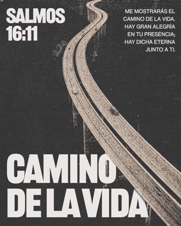 Me mostrarás el camino de la vida. Hay gran alegría en tu presencia; hay dicha eterna junto a ti. - Salmos 16:11