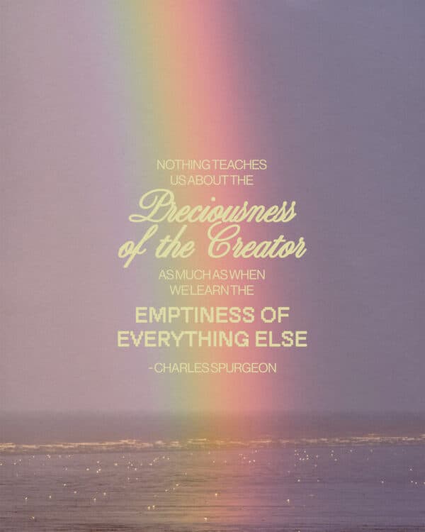 "Nothing teaches us about the preciousness of the Creator as much as when we learn the emptiness of everything else." - Charles Spurgeon