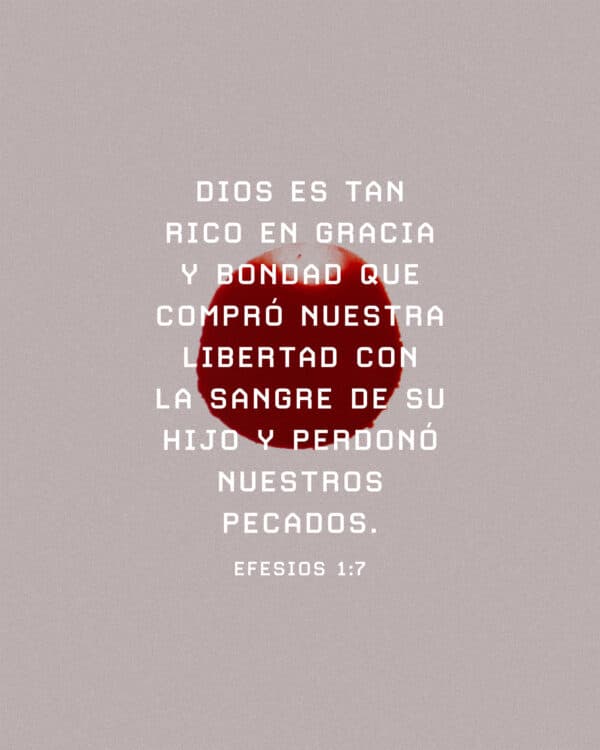 Dios es tan rico en gracia y bondad que compró nuestra libertad con la sangre de su Hijo y perdonó nuestros pecados. - Efesios 1:7