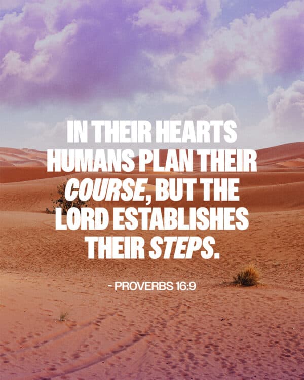 In their hearts humans plan their course, but the Lord establishes their steps. - Proverbs 16:9