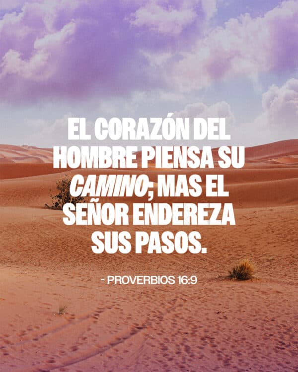 El corazón del hombre piensa su camino; Mas el Señor endereza sus pasos. - Proverbios 16:9