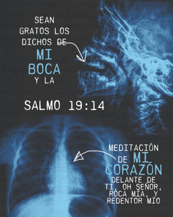 Sean gratos los dichos de mi boca y la meditación de mi corazón delante de ti, Oh Señor, roca mía, y redentor mío. - Salmos 19:14