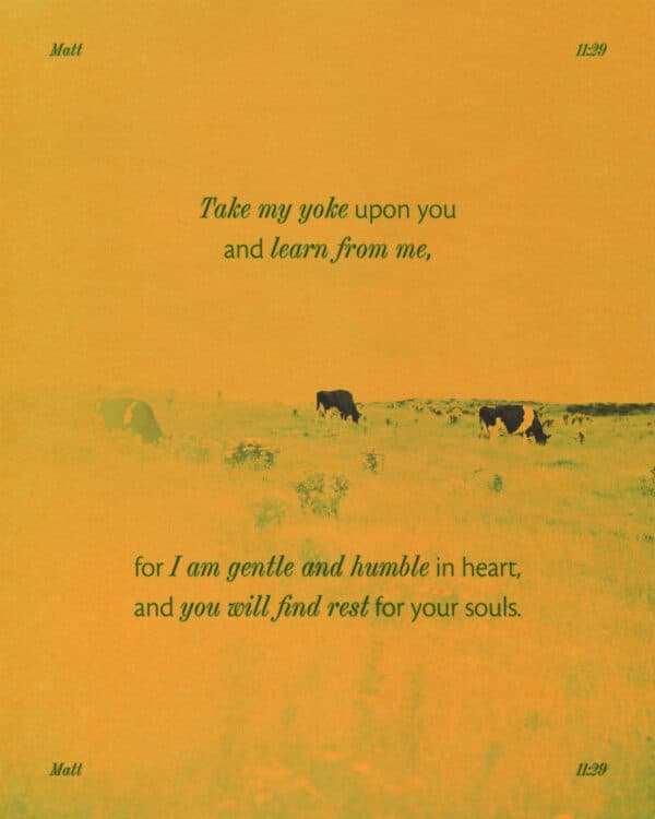 Take my yoke upon you and learn from me, for I am gentle and humble in heart, and you will find rest for your souls. - Matthew 11:29