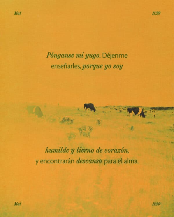 Pónganse mi yugo. Déjenme enseñarles, porque yo soy humilde y tierno de corazón, y encontrarán descanso para el alma. - Mateo 11:29
