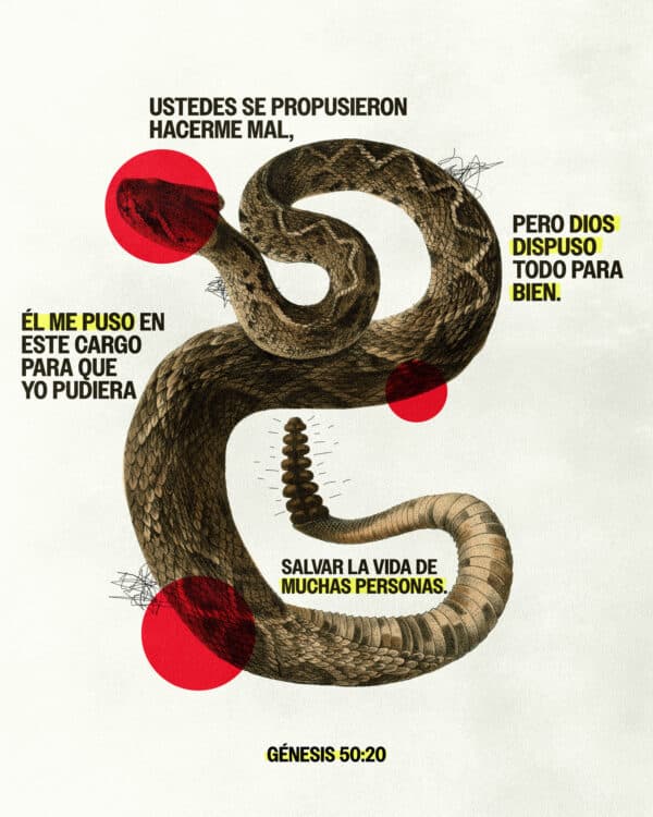 Ustedes se propusieron hacerme mal, pero Dios dispuso todo para bien. Él me puso en este cargo para que yo pudiera salvar la vida de muchas personas. - Génesis 50:20