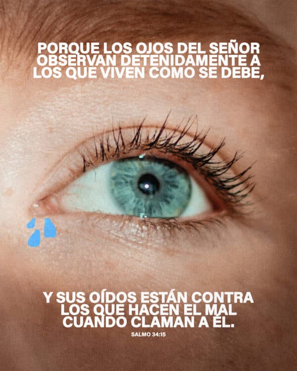 Porque los ojos del Señor observan detenidamente a los que viven como se debe, y sus oídos están contra los que hacen el mal cuando claman a Él. - Salmo 34:15