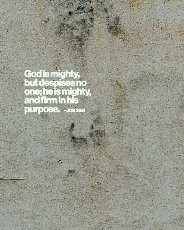 God is mighty, but despises no one; he is mighty, and firm in his purpose. - Job 36:5