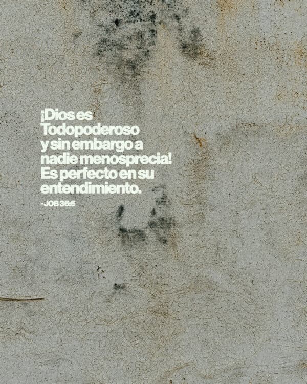 ¡Dios es Todopoderoso y sin embargo a nadie menosprecia! Es perfecto en su entendimiento. - Job 36:5
