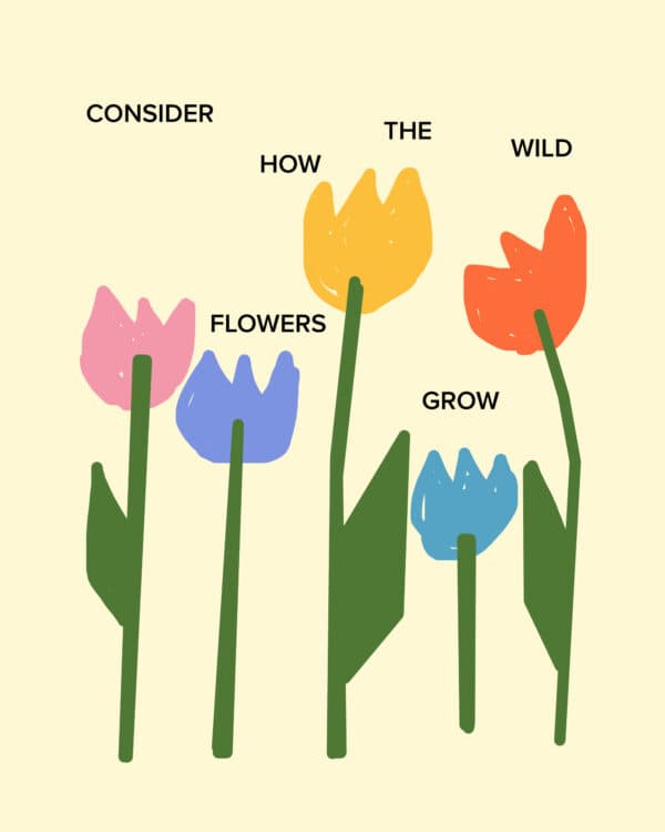 Consider how the wild flowers grow