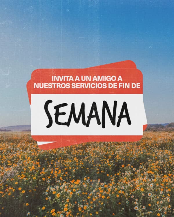 Invita a un amigo a nuestros servicios de fin de semana