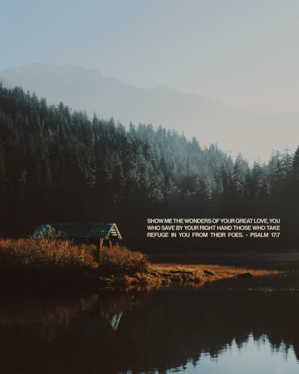 Show me the wonders of your great love, you who save by your right hand those who take refuge in you from their foes. - Psalm 17:7