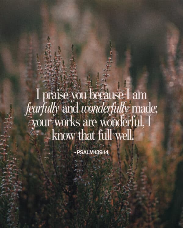 I praise you because I am fearfully and wonderfully made; your works are wonderful, I know that full well. - Psalm 139:14
