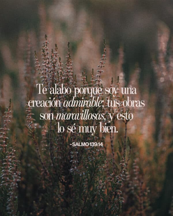 Te alabo porque soy una creación admirable; ¡tus obras son maravillosas, y esto lo sé muy bien! - Salmo 139:14
