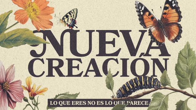 Nueva Creación: Lo que eres no es lo que parece.