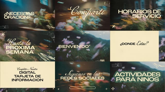 The Secret Place | Diapositivas