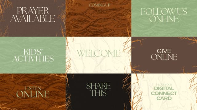 Deep Roots | Slides