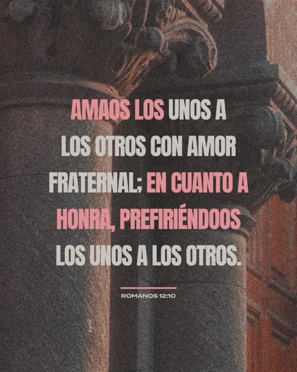 Amaos los unos a los otros con amor fraternal; en cuanto a honra, prefiriéndoos los unos a los otros. - Romanos 12:10
