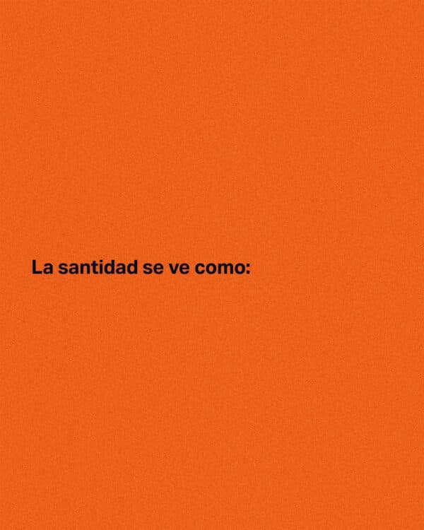 La santidad se ve como: