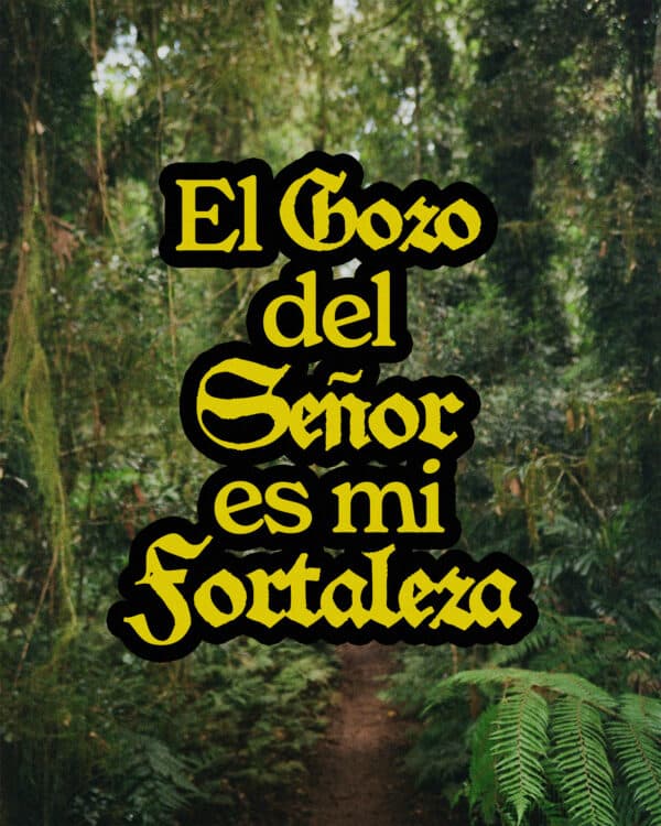 El gozo del Señor es mi fortaleza