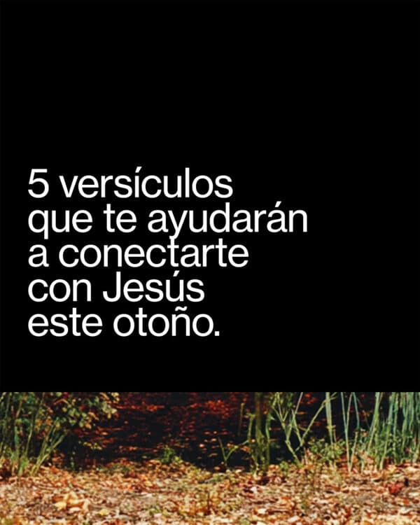 5 versículos que te ayudarán a conectarte con Jesús este otoño.