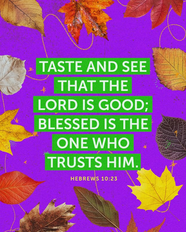 Scripture Posts