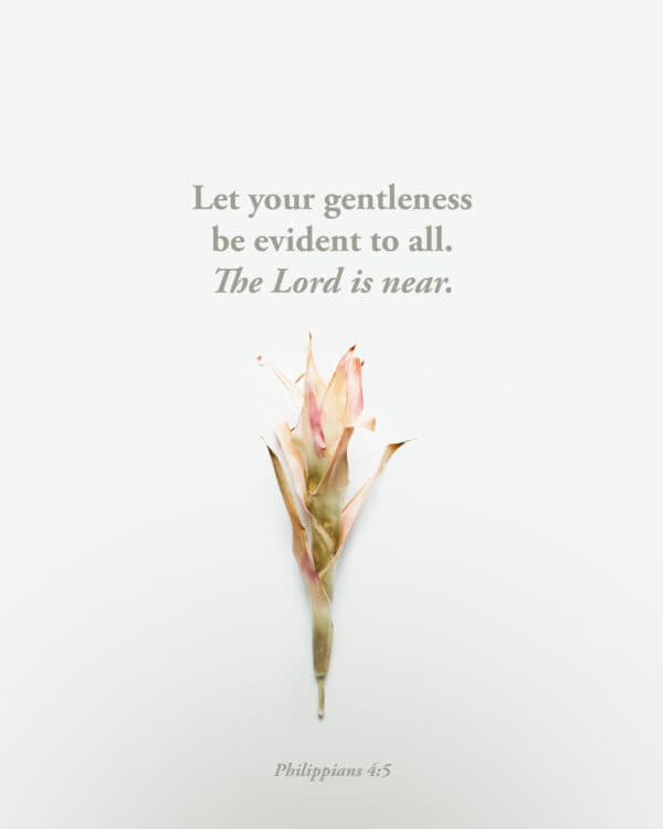 Let your gentleness be evident to all. The Lord is near. - Philippians 4:5