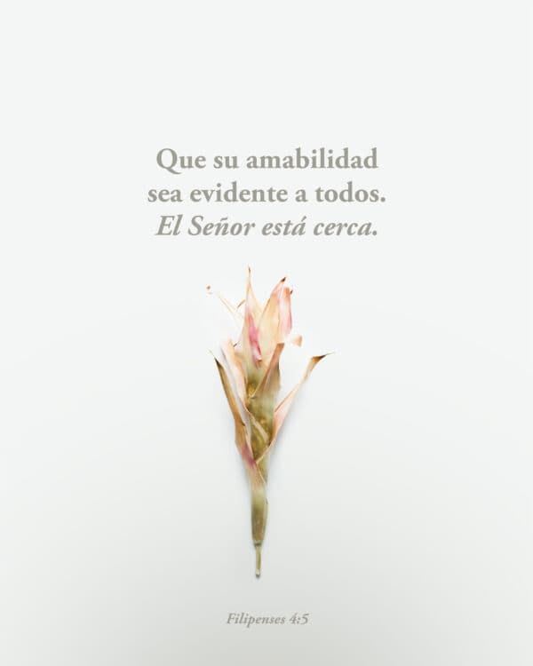 Que su amabilidad sea evidente a todos. El Señor está cerca. - Filipenses 4:5