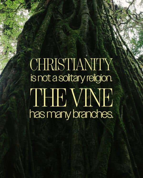Christianity is not a solitary religion. The vine has many branches.