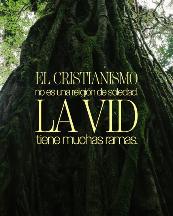 El cristianismo no es una religión de soledad. La vid tiene muchas ramas.