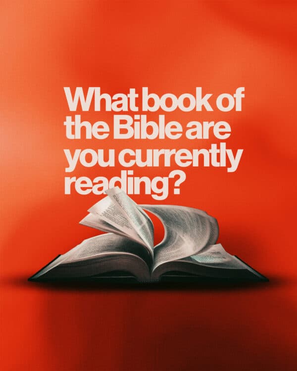 What book of the Bible are you currently reading?