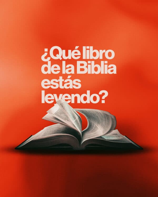 ¿Qué libro de la Biblia estás leyendo?