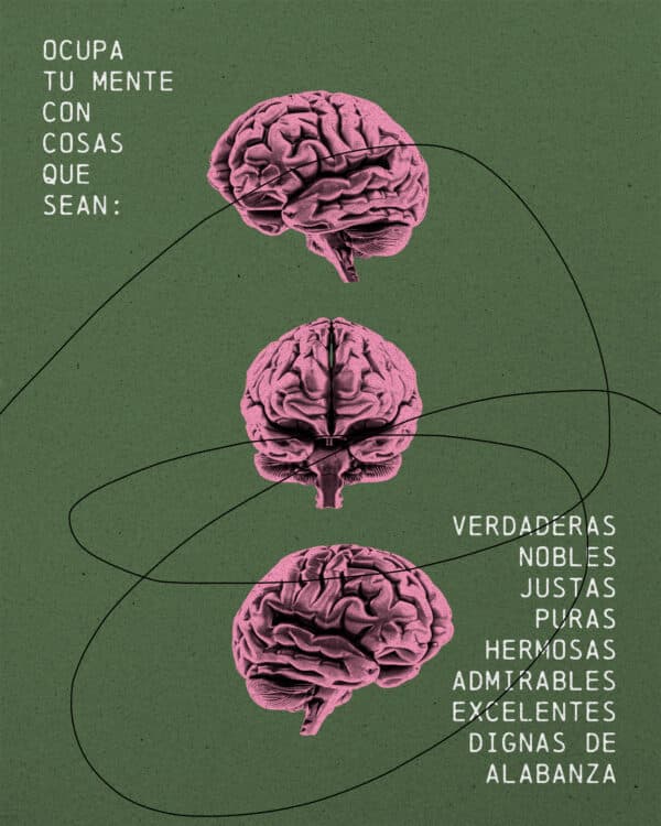 Ocupa tu mente con cosas que sean: verdaderas nobles justas puras hermosas admirables excelentes dignas de alabanza