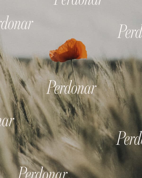 Perdonar