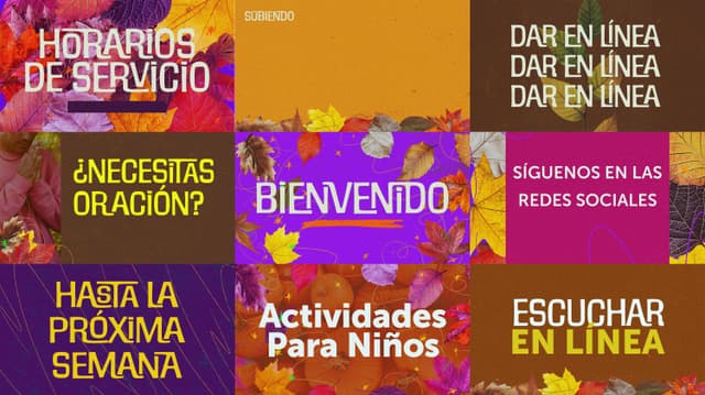Fall Festival | Diapositivas