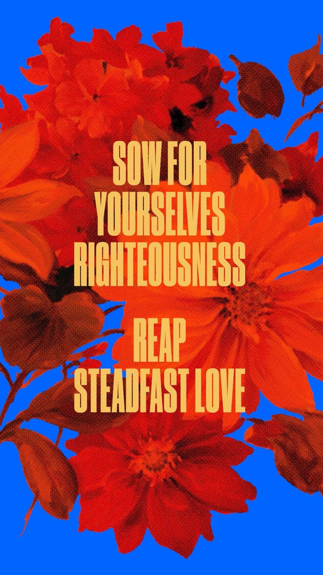 Sow for yourself righteousness, reap steadfast love. Break up your fallow ground for it is time to seek the Lord. That He may come and rain righteousness upon you. Hosea 10:12