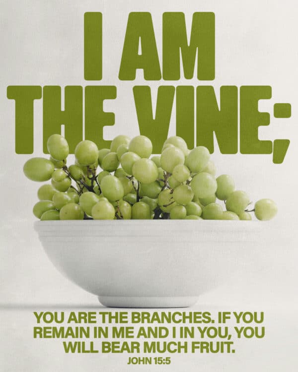 I am the vine; you are the branches. If you remain in me and I in you, you will bear much fruit. - John 15:5