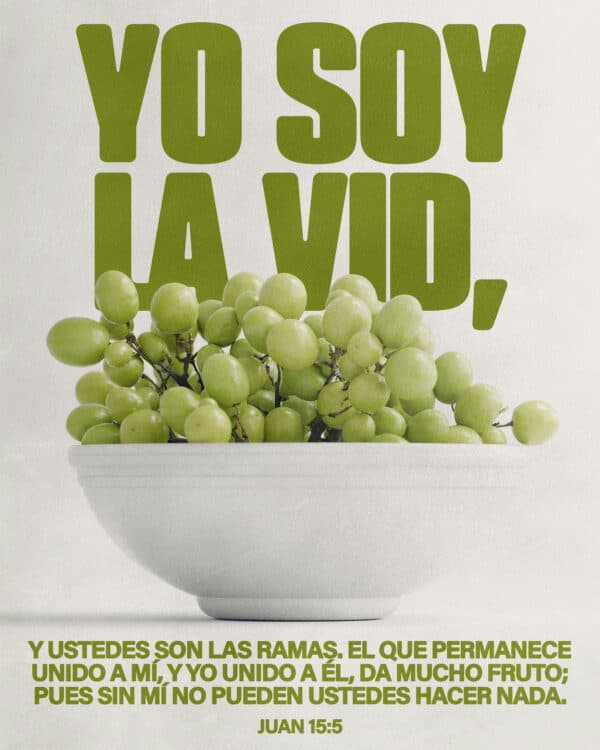 Yo soy la vid, y ustedes son las ramas. El que permanece unido a mí, y yo unido a Él, da mucho fruto; pues sin mí no pueden ustedes hacer nada. -Juan 15:5