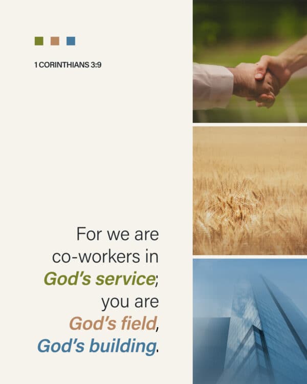 For we are co-workers in God's service; you are God's field, God's building. - 1 Corinthians 3:9