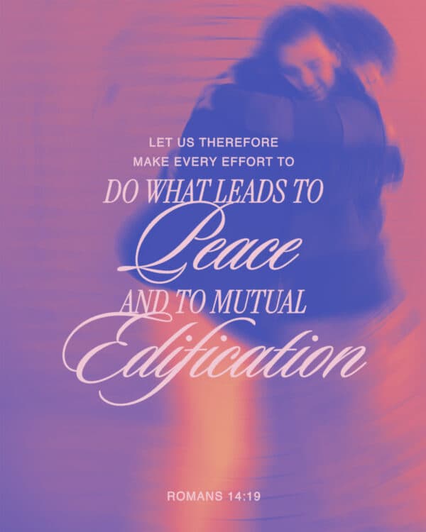 Let us therefore make every effort to do what leads to peace and to mutual edification. - Romans 14:19